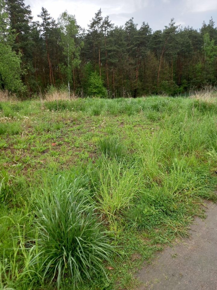 Działka budowlana Rożno-Parcele, ul. Chabrowa. Zdjęcie 2
