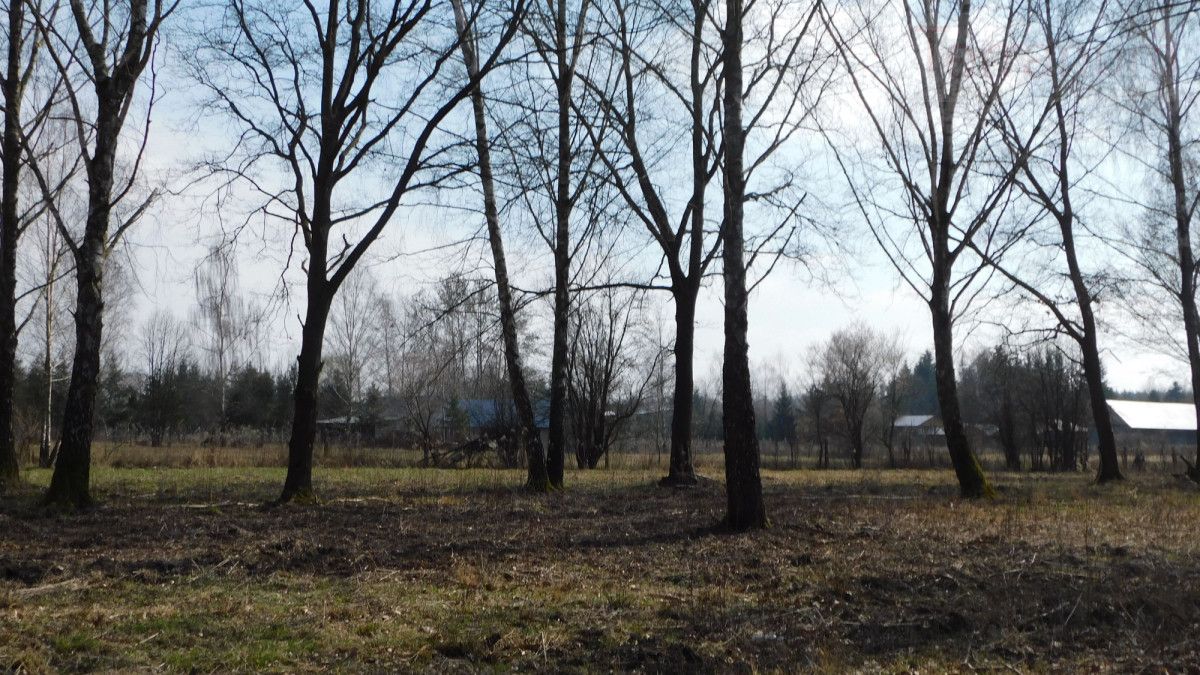 Działka budowlana Chojnów, ul. Graniczka. Zdjęcie 11