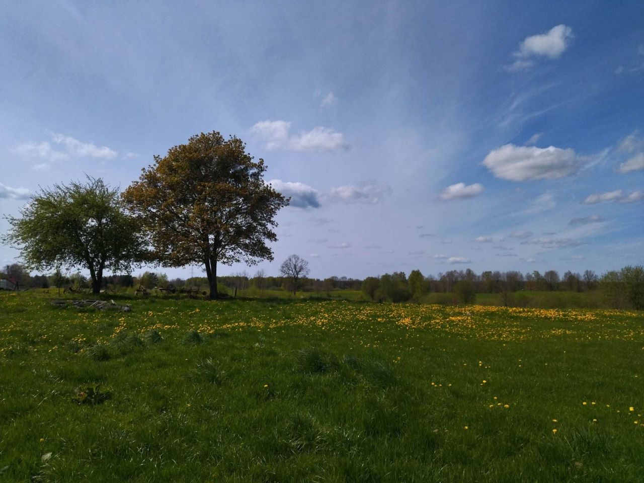 Działka rekreacyjna Raj. Zdjęcie 16