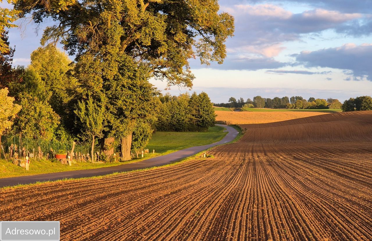 siedlisko, 4 pokoje Długie Parcele. Zdjęcie 9