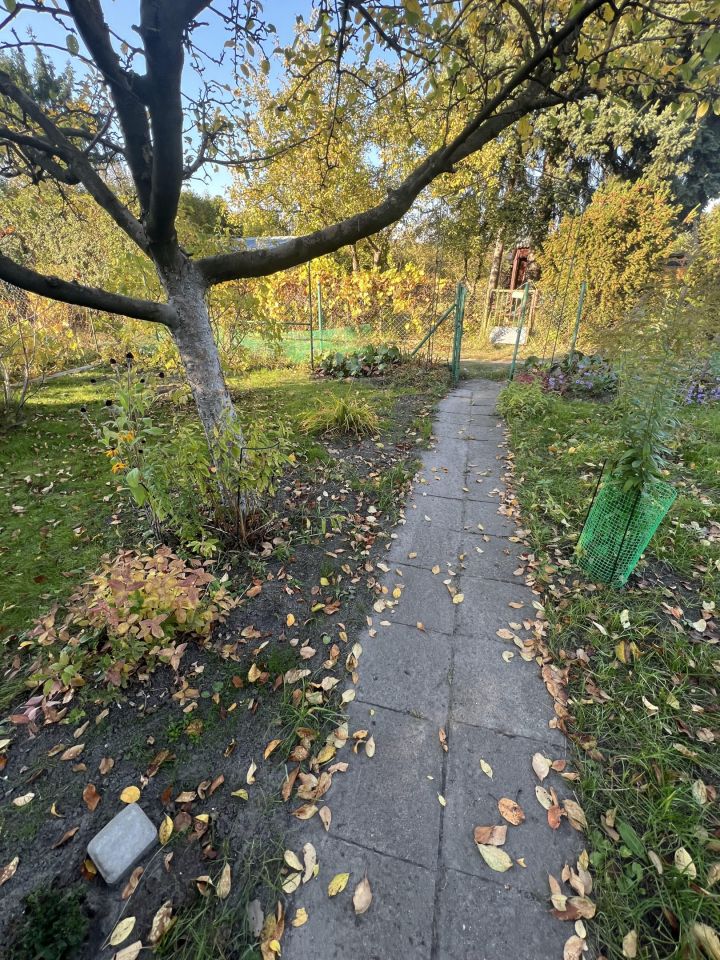 Działka rod Warszawa Wawer, ul. Cyklamenów. Zdjęcie 14
