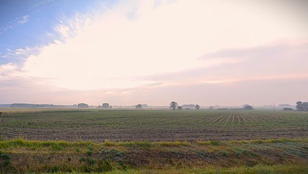 Działka budowlana Bądków Drugi. Zdjęcie 3