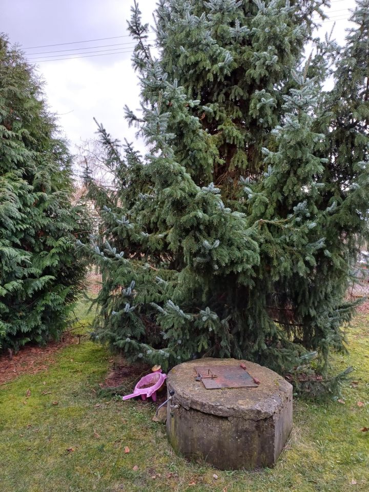 Działka rod Mokra Prawa. Zdjęcie 8