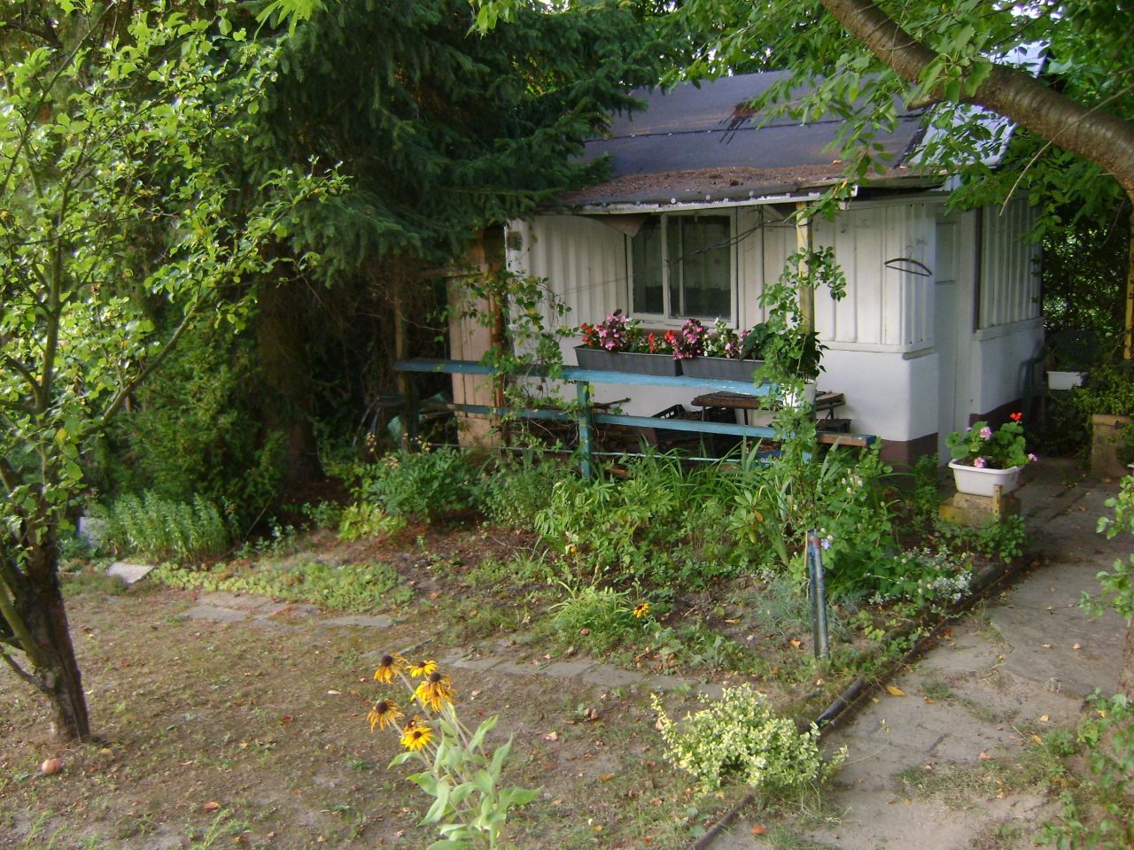 Działka rod Lublin Szerokie, ul. Nałęczowska. Zdjęcie 11