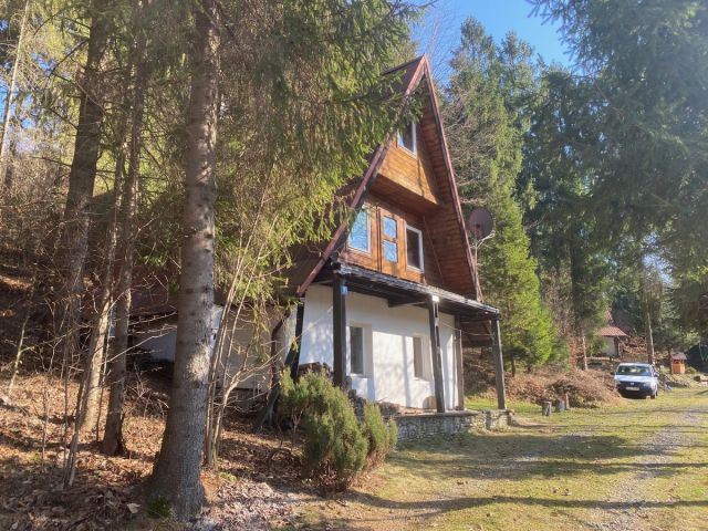 dom letniskowy, 4 pokoje Brenna Leśnica, ul. Hetnołka. Zdjęcie 1