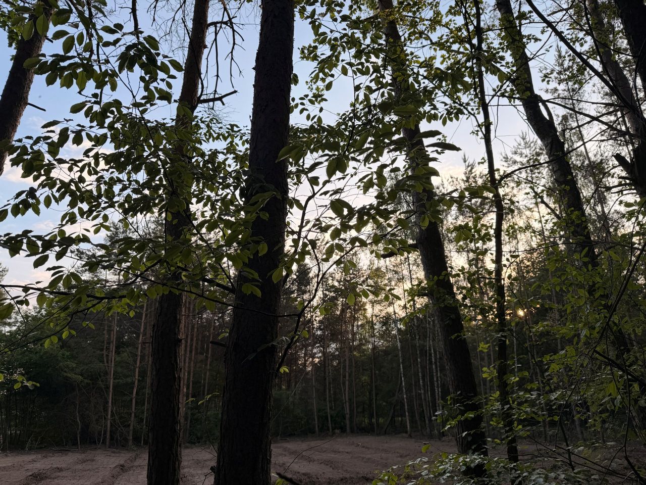 Działka budowlana Bukowiec Bukowiec Duży, ul. Fiołkowa. Zdjęcie 5