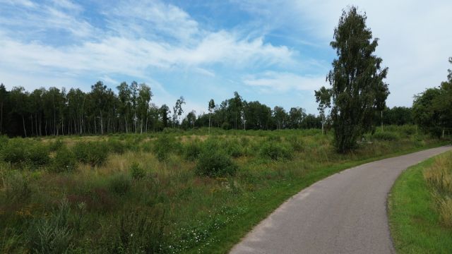 Działka budowlana Dąbrowica. Zdjęcie 11