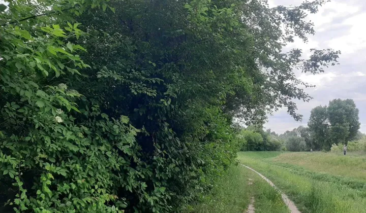 Działka budowlana Warszawa Wawer