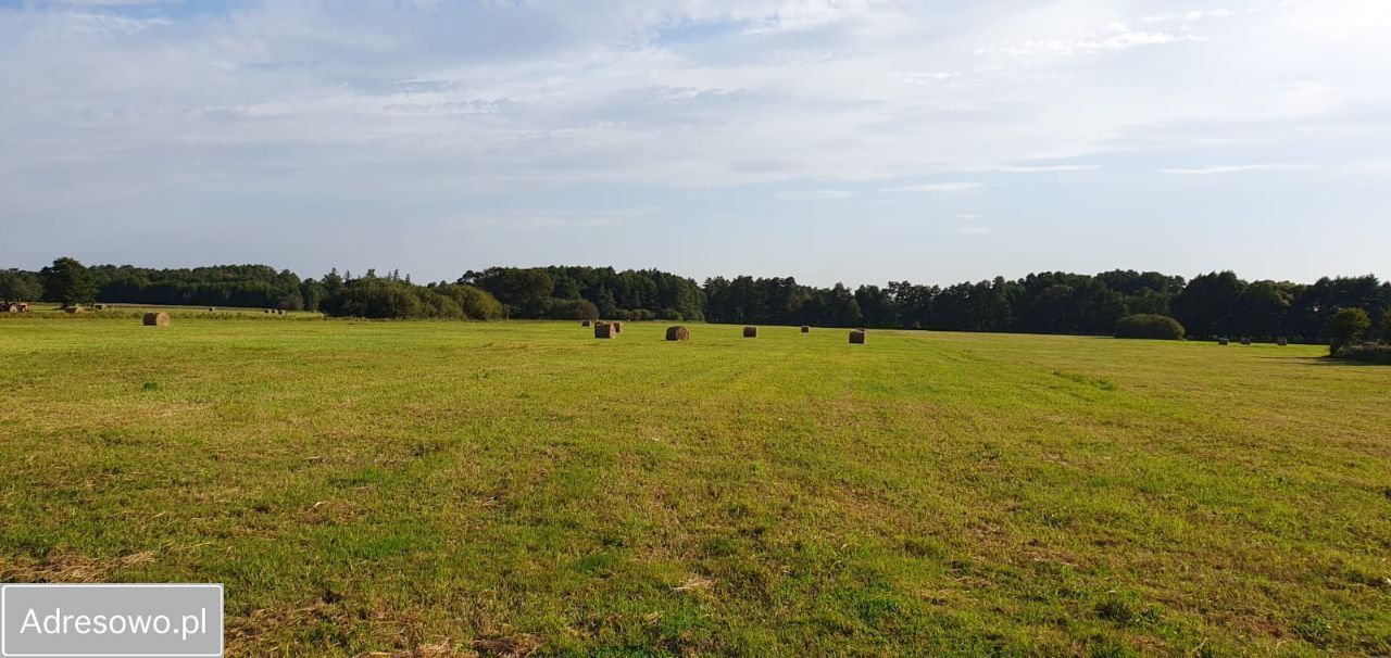 Działka rolna Olszowiec. Zdjęcie 9