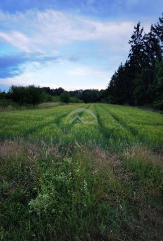 Działka inwestycyjna Piotrowice, ul. Główna. Zdjęcie 10