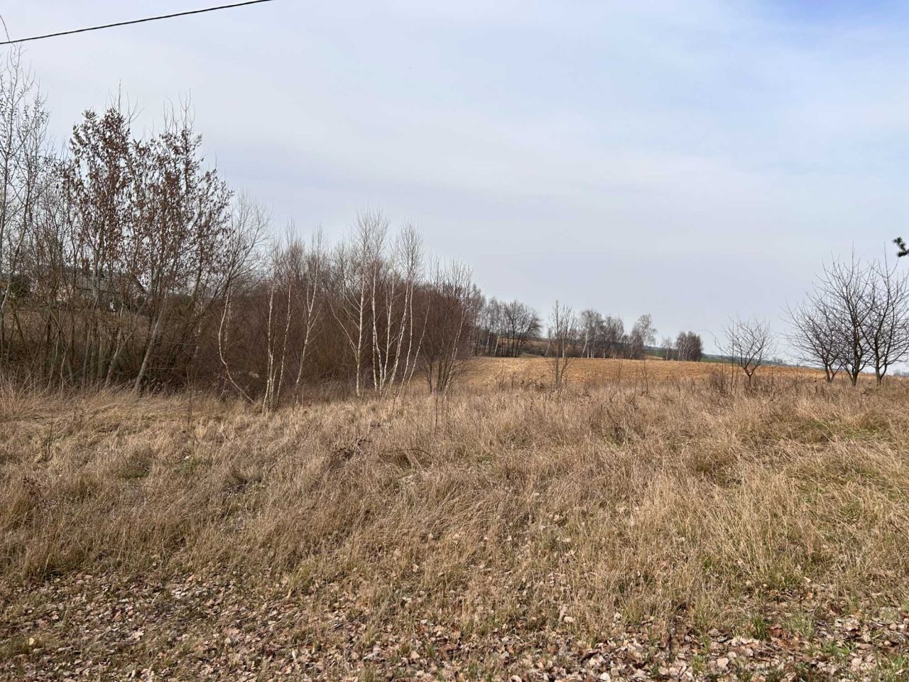 Działka rolno-budowlana Nowogród. Zdjęcie 4