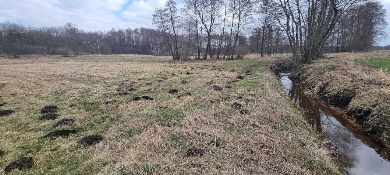 Działka rolna Bobrowniki. Zdjęcie 2