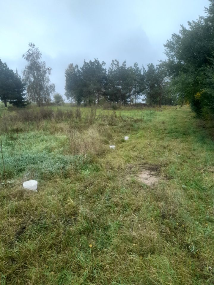 Działka rolno-budowlana Brajniki. Zdjęcie 4