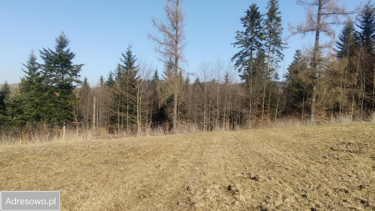 Działka budowlana Dąbrówka. Zdjęcie 8