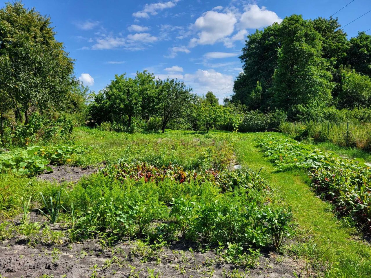 Działka budowlana Chełm, ul. Metalowa. Zdjęcie 4