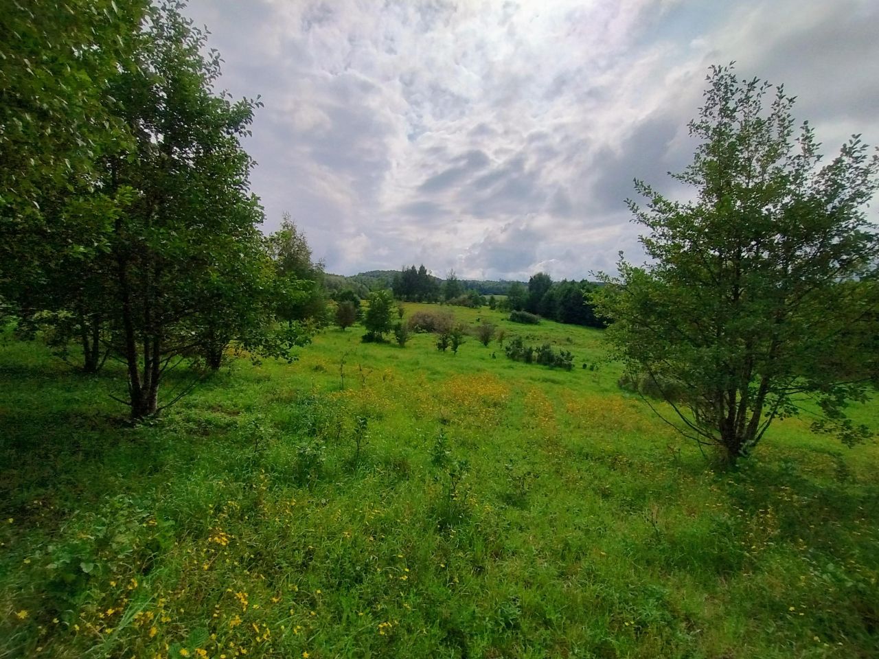 Działka rolna Stare Bolity. Zdjęcie 4
