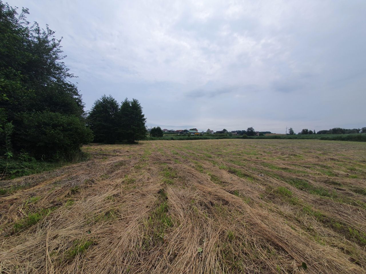 Działka rolna Głęboka. Zdjęcie 12
