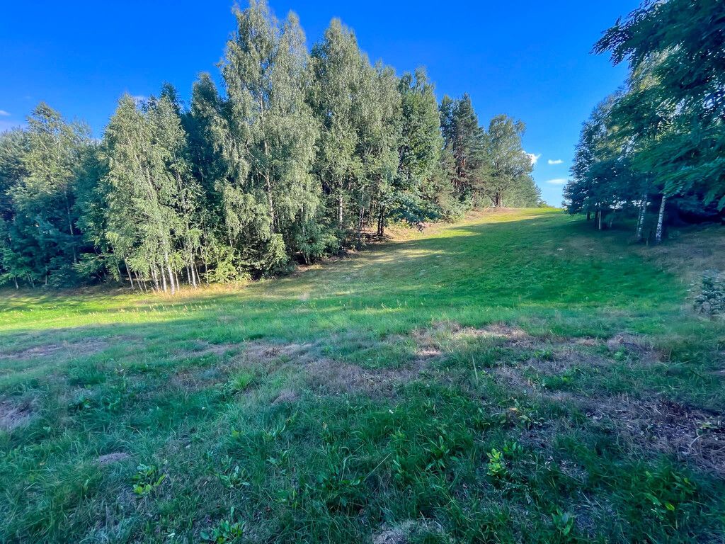 Działka budowlana Kuczów. Zdjęcie 4