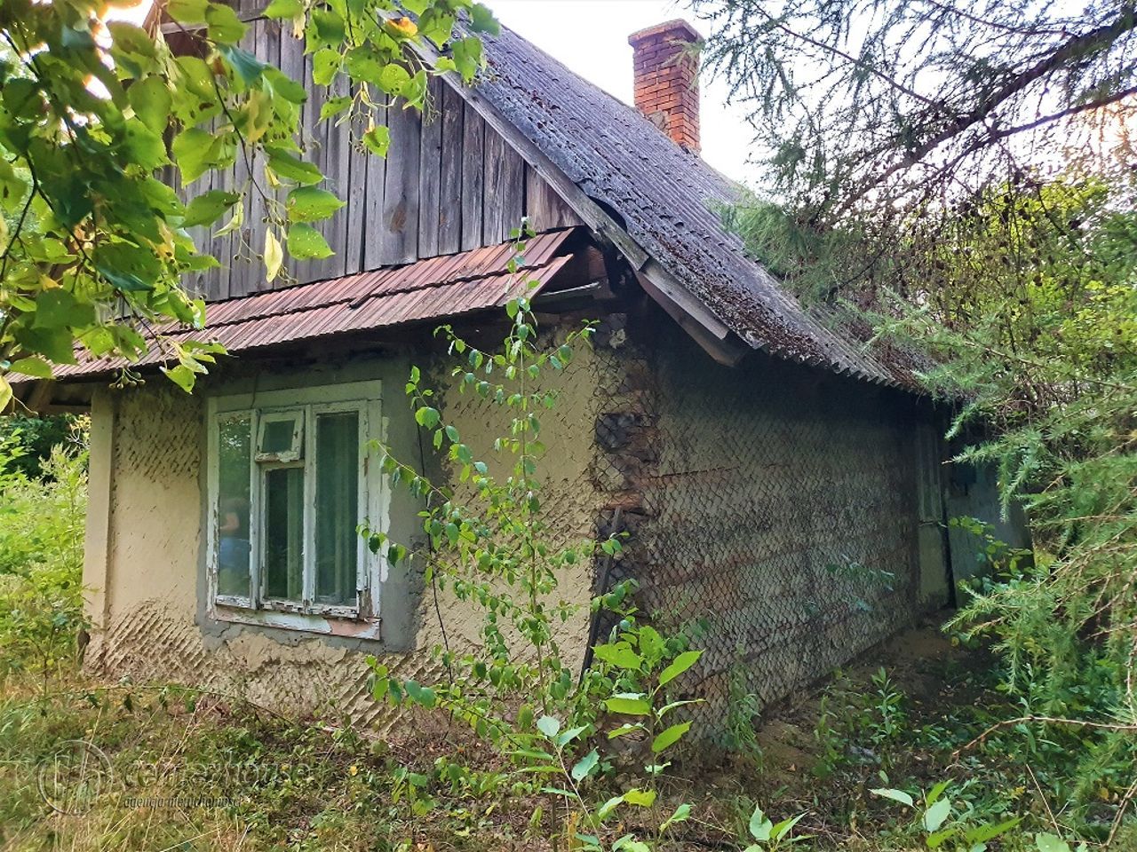 Działka siedliskowa Borek Stary. Zdjęcie 6