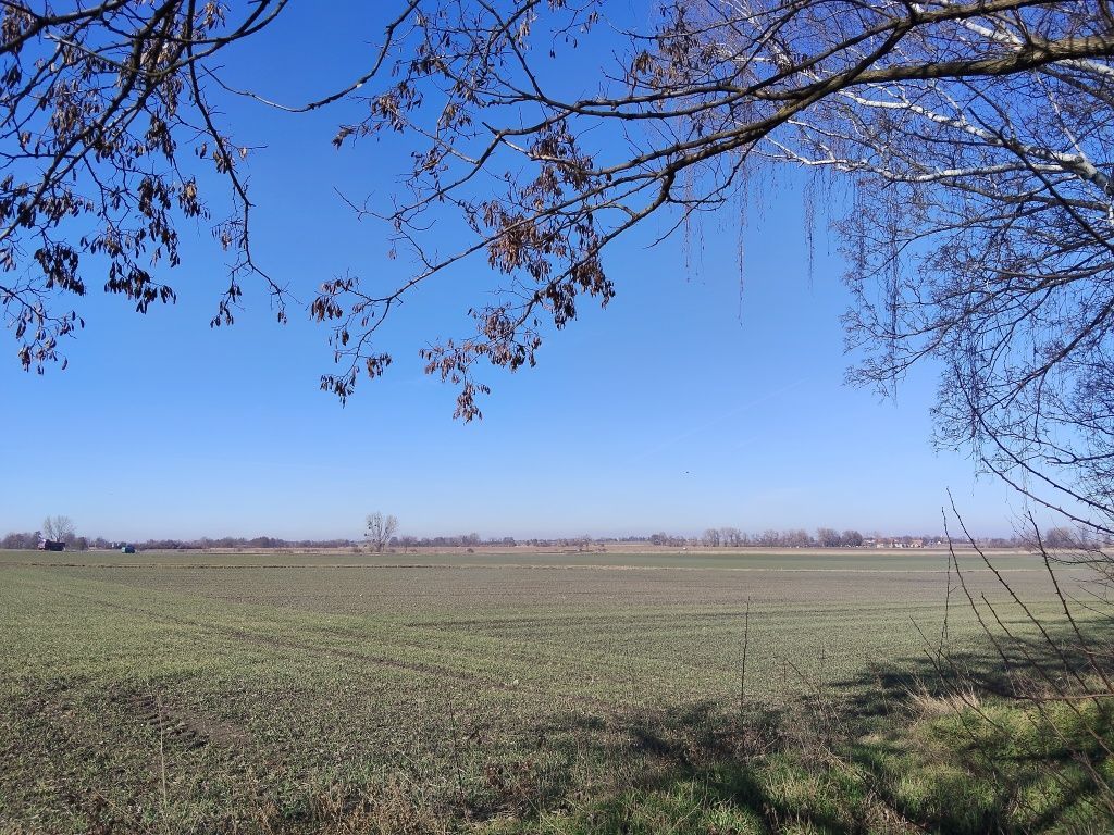 Działka budowlana Ludów Polski. Zdjęcie 2