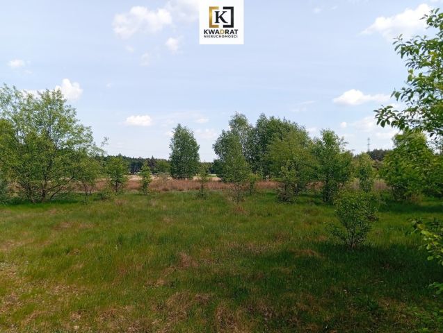 Działka rolno-budowlana Wólka Piecząca. Zdjęcie 1