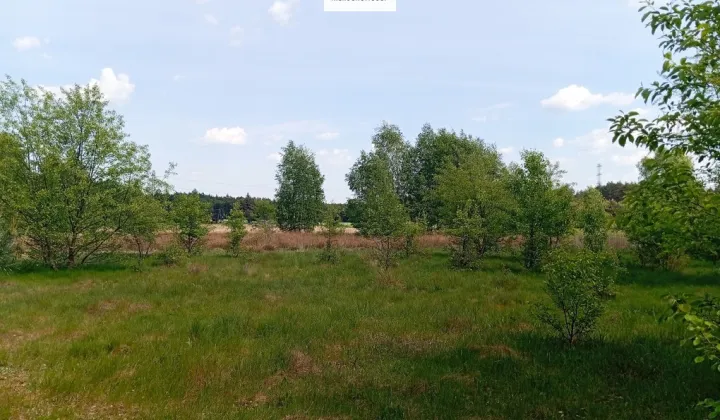 Działka rolno-budowlana Wólka Piecząca