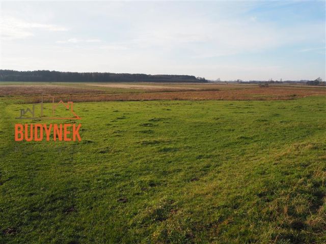 Działka rolna Krupy. Zdjęcie 7