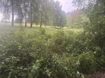 Działka rolno-budowlana Bobrownik. Zdjęcie 3