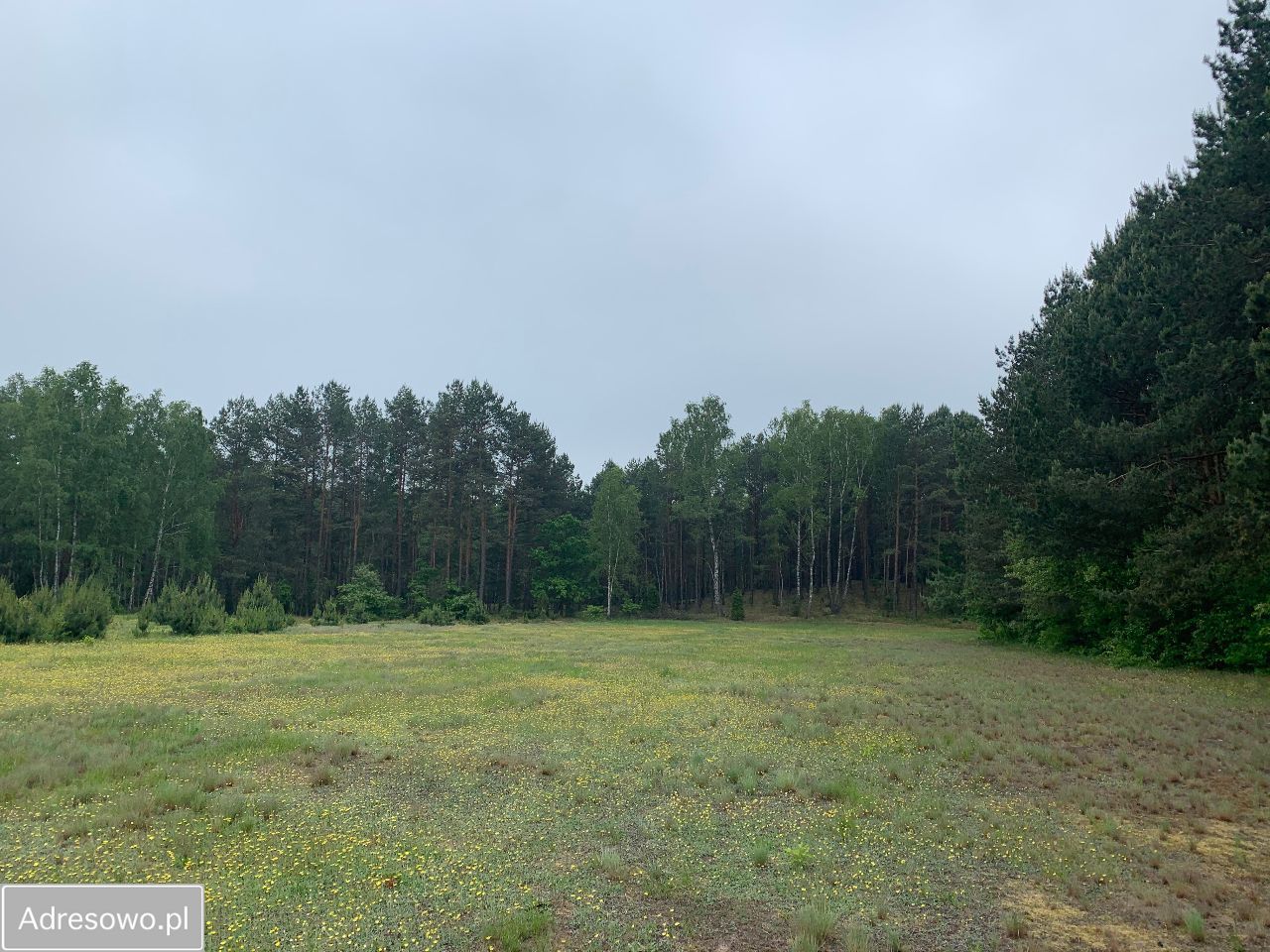 Działka budowlana Nowe Bosewo. Zdjęcie 1