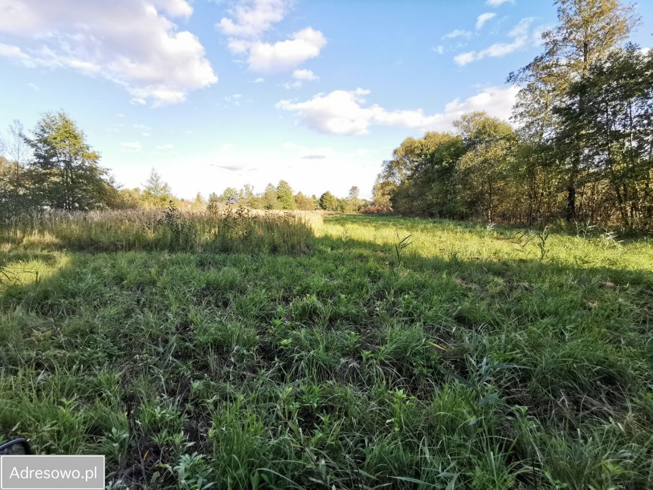 Działka budowlana Siedliska. Zdjęcie 5