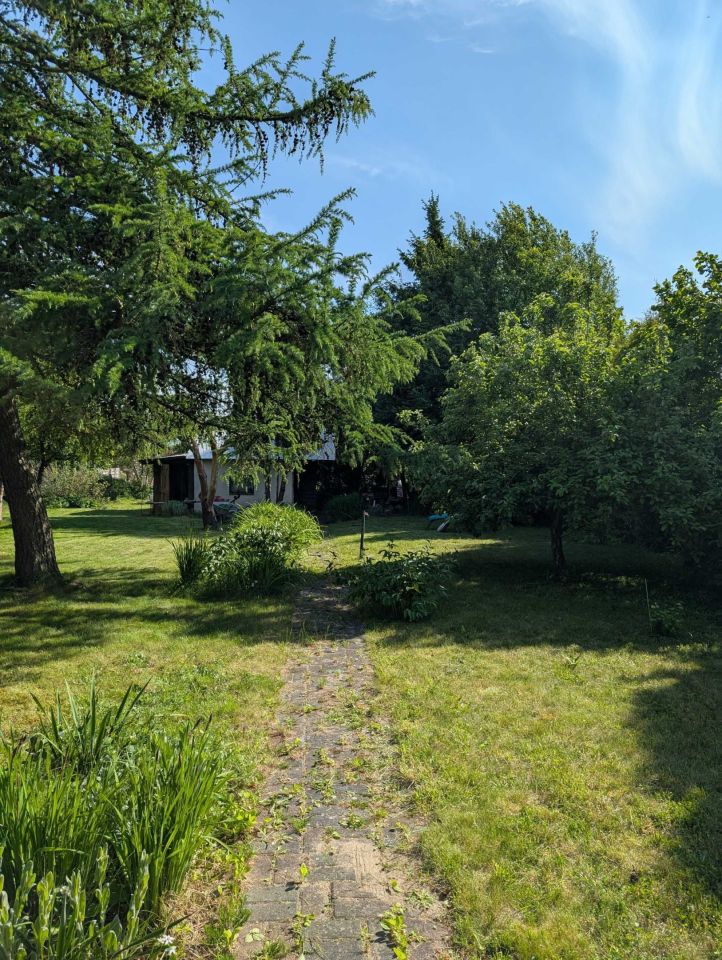 Działka rod Szczecin Gumieńce, ul. Spiska. Zdjęcie 4