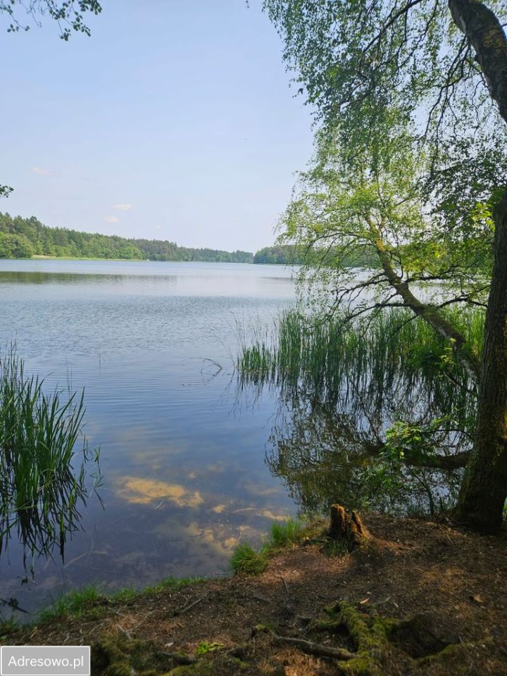 Działka budowlana Niedalino. Zdjęcie 3