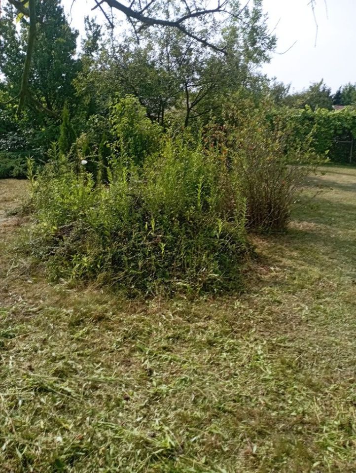 Działka rod Wrocław Stare Miasto, ul. Klecińska. Zdjęcie 7