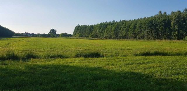 Działka rolno-budowlana Czechy. Zdjęcie 1