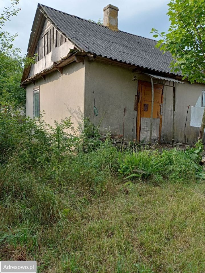 siedlisko Tchórzew-Kolonia. Zdjęcie 17