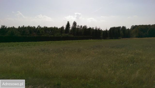 Działka budowlana Janów. Zdjęcie 1