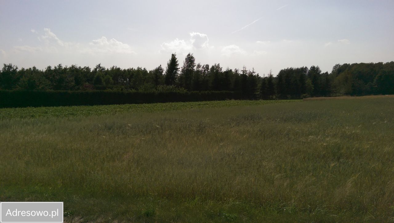 Działka budowlana Janów