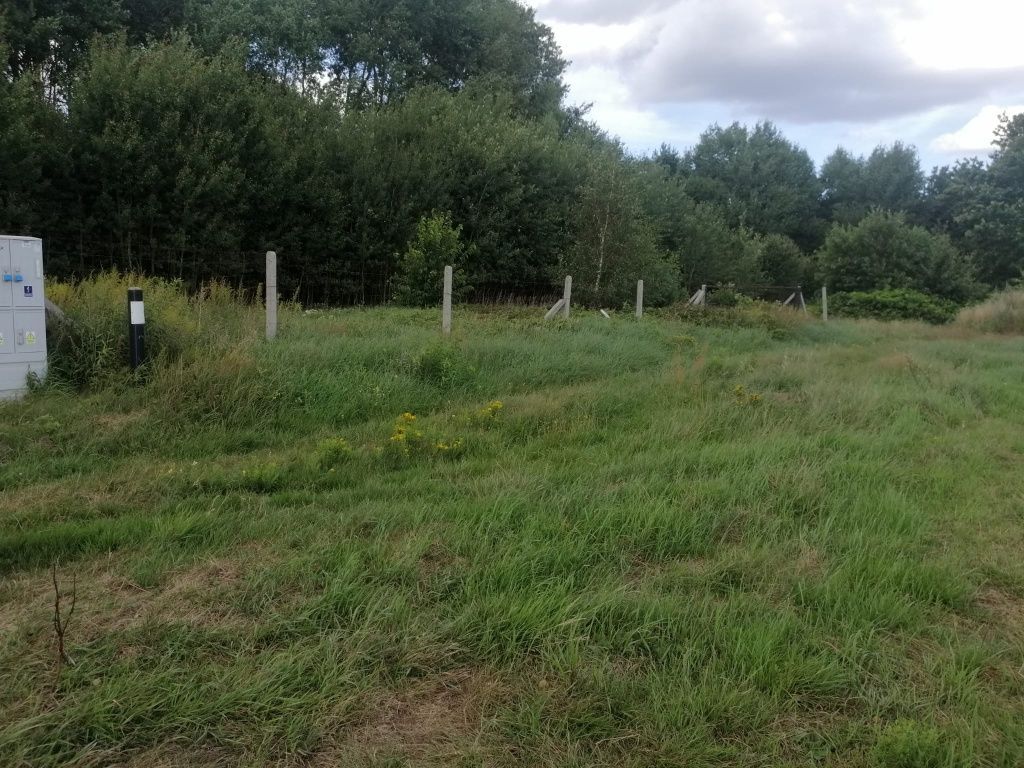 Działka rolno-budowlana Białuń, ul. Morelowa. Zdjęcie 4