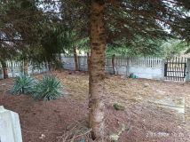 dom wolnostojący Stawiany. Zdjęcie 4