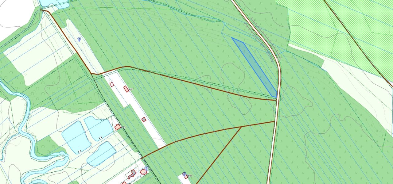 Działka leśna Grodzisk. Zdjęcie 4