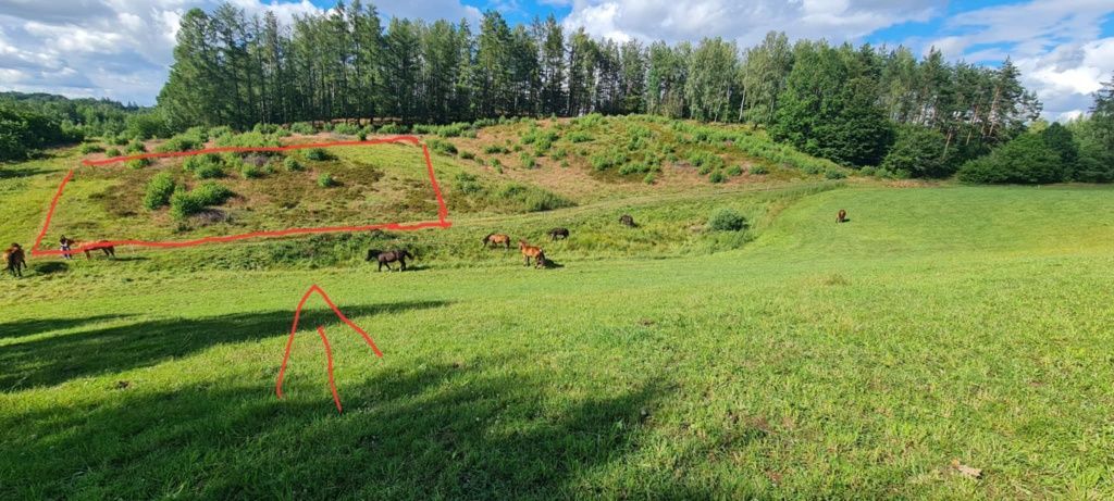 Działka budowlana Rybaki. Zdjęcie 2