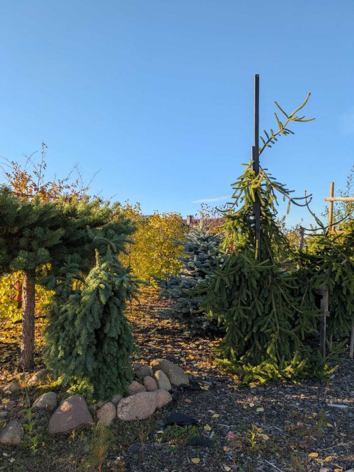 dom wolnostojący Krzekotówek. Zdjęcie 5