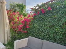 dom szeregowy, 4 pokoje Nowy Dwór Mazowiecki Osiedle Młodych, ul. Szmaragdowa. Zdjęcie 2