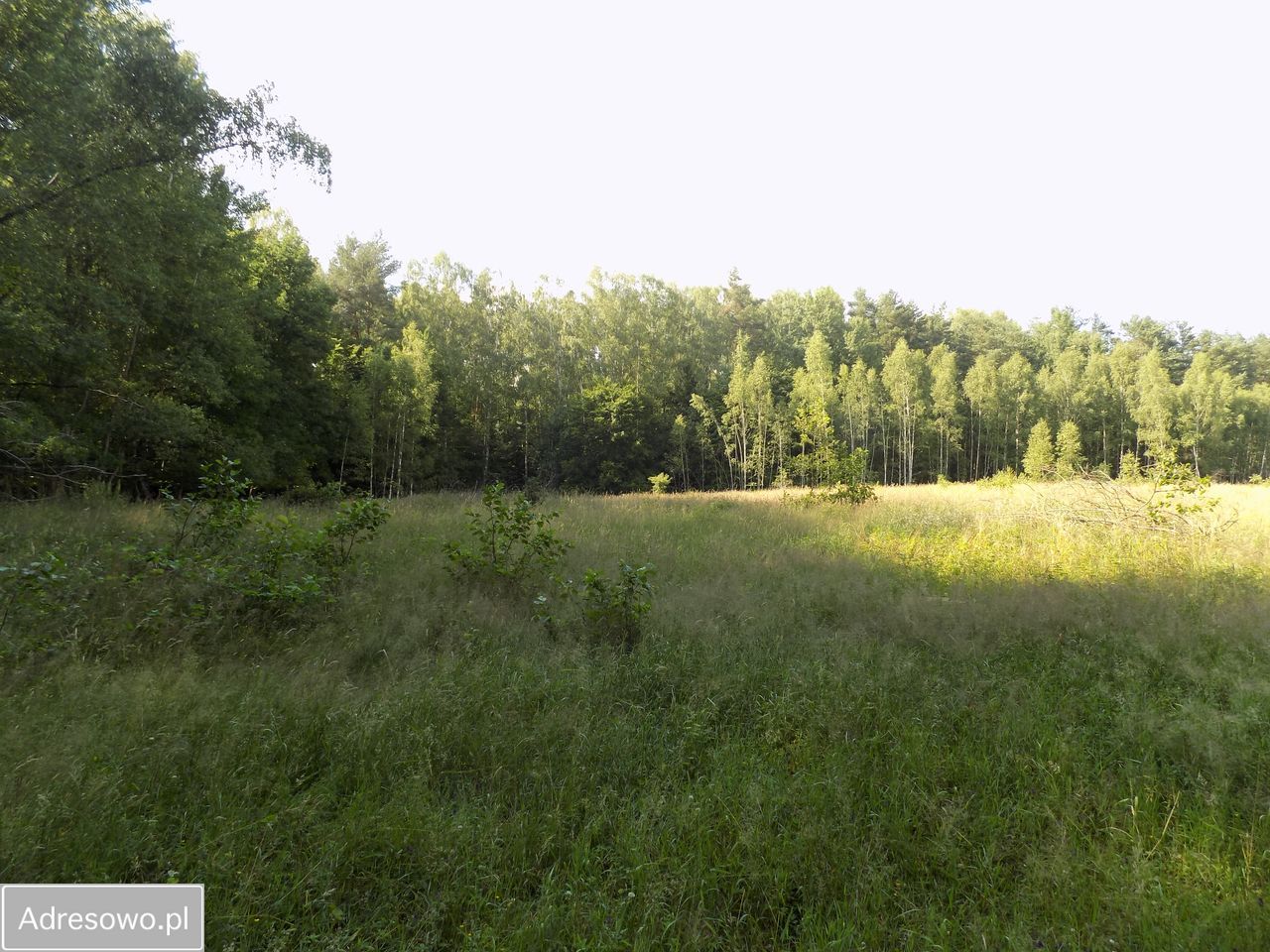 Działka budowlana Brzeźno. Zdjęcie 6