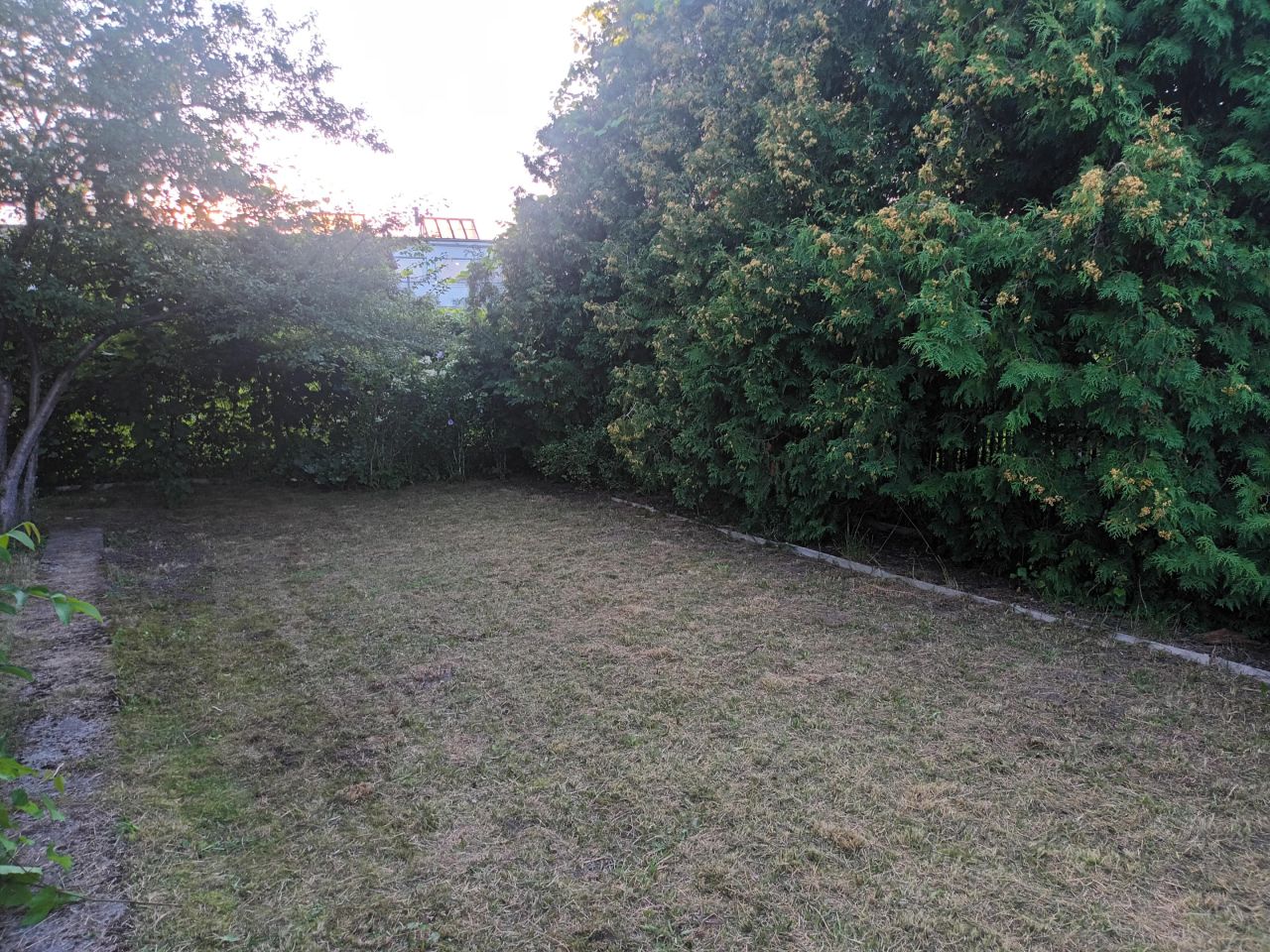 Działka rod Zielona Góra Przylep, ul. Przylep-Działkowa. Zdjęcie 2