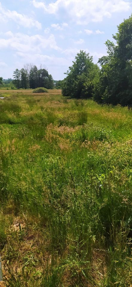 Działka budowlana Niecieplin. Zdjęcie 2