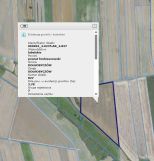 Działka rolna Dołhobyczów. Zdjęcie 1