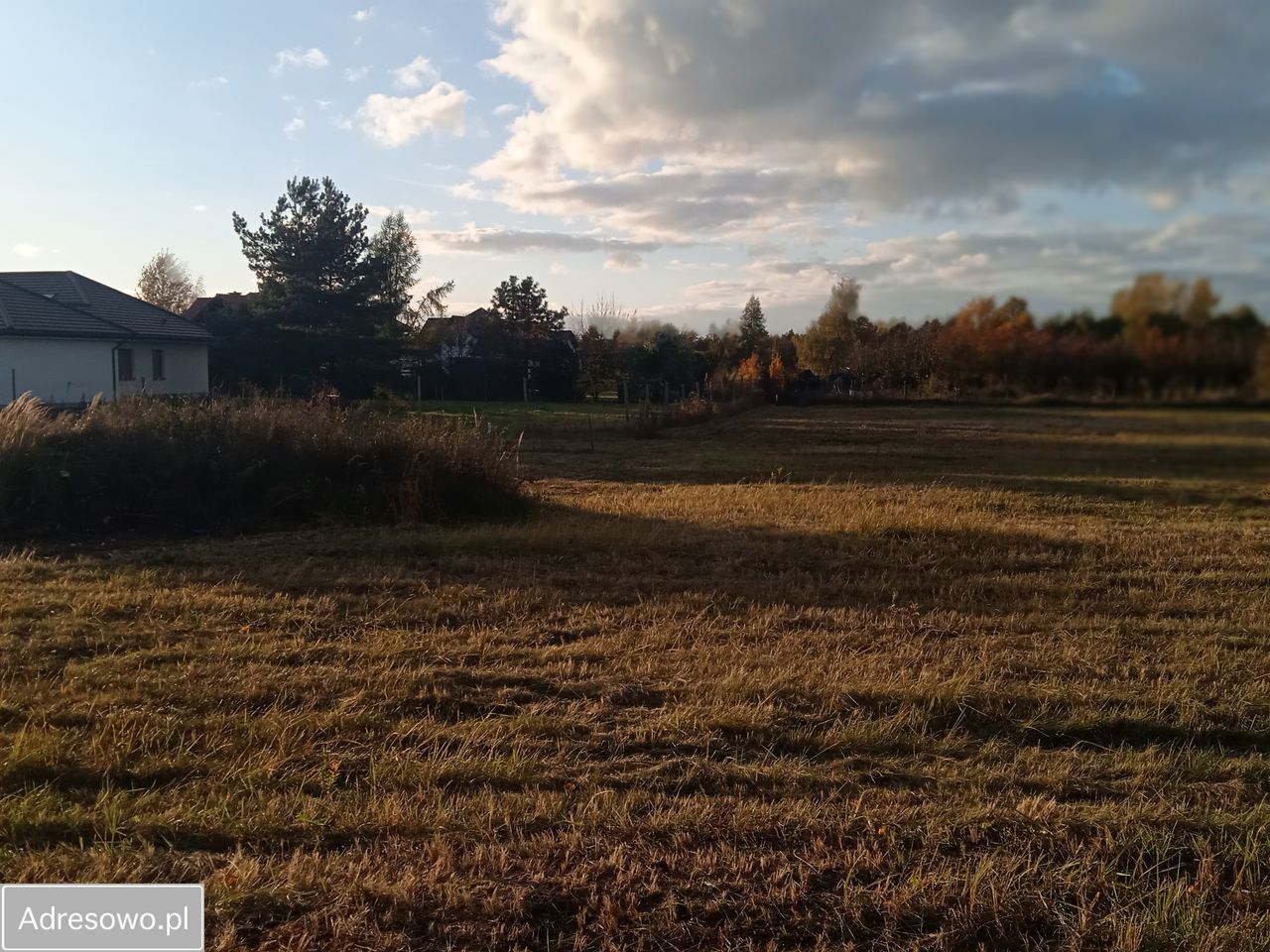 Działka budowlana Tarczyn, ul. Wąska. Zdjęcie 14