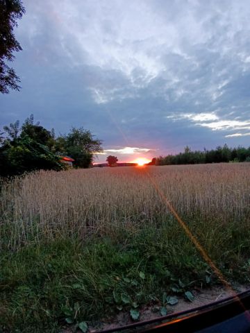 Działka rekreacyjna Kępiaste. Zdjęcie 12