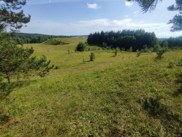 Działka siedliskowa Osinki. Zdjęcie 13